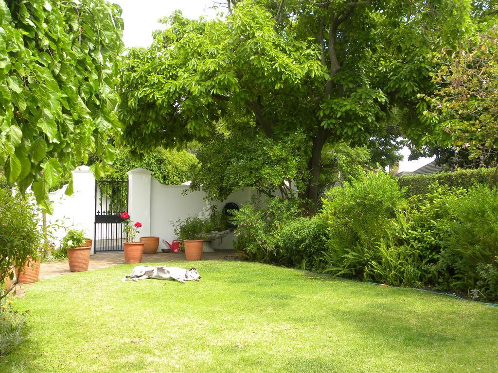 Applegarth B&B And Self-Catering Studios Kaapstad Buitenkant foto