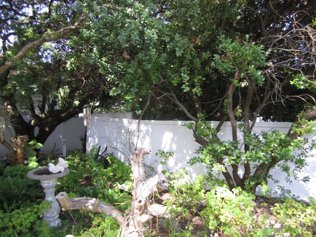 Applegarth B&B And Self-Catering Studios Kaapstad Buitenkant foto