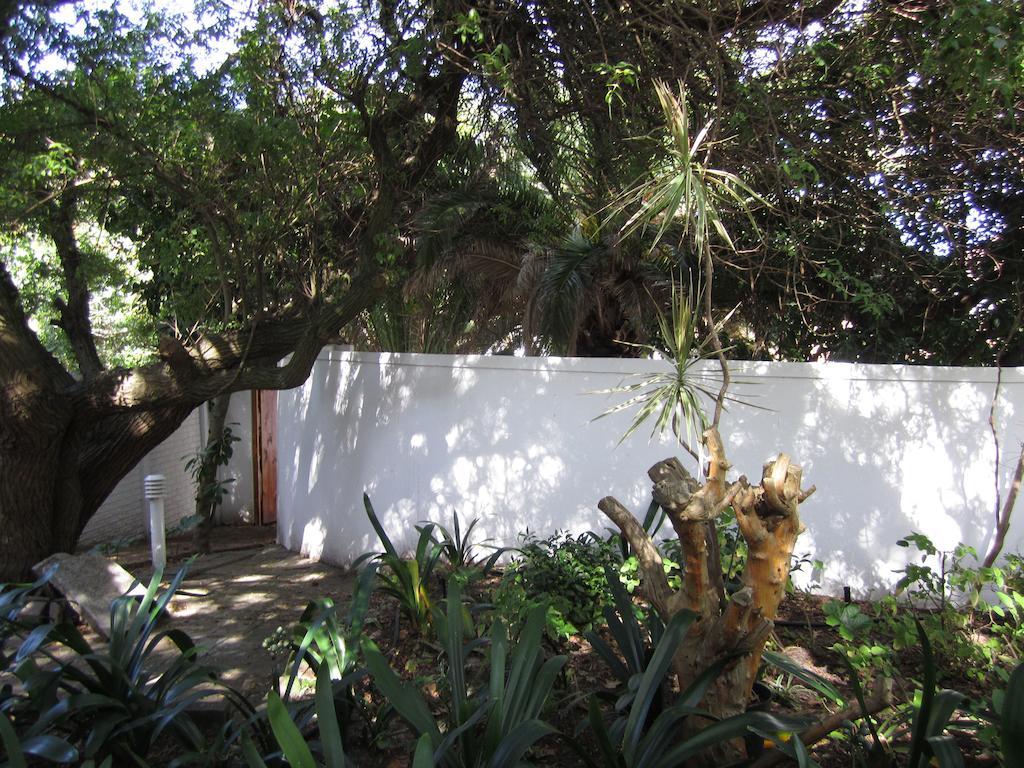 Applegarth B&B And Self-Catering Studios Kaapstad Buitenkant foto
