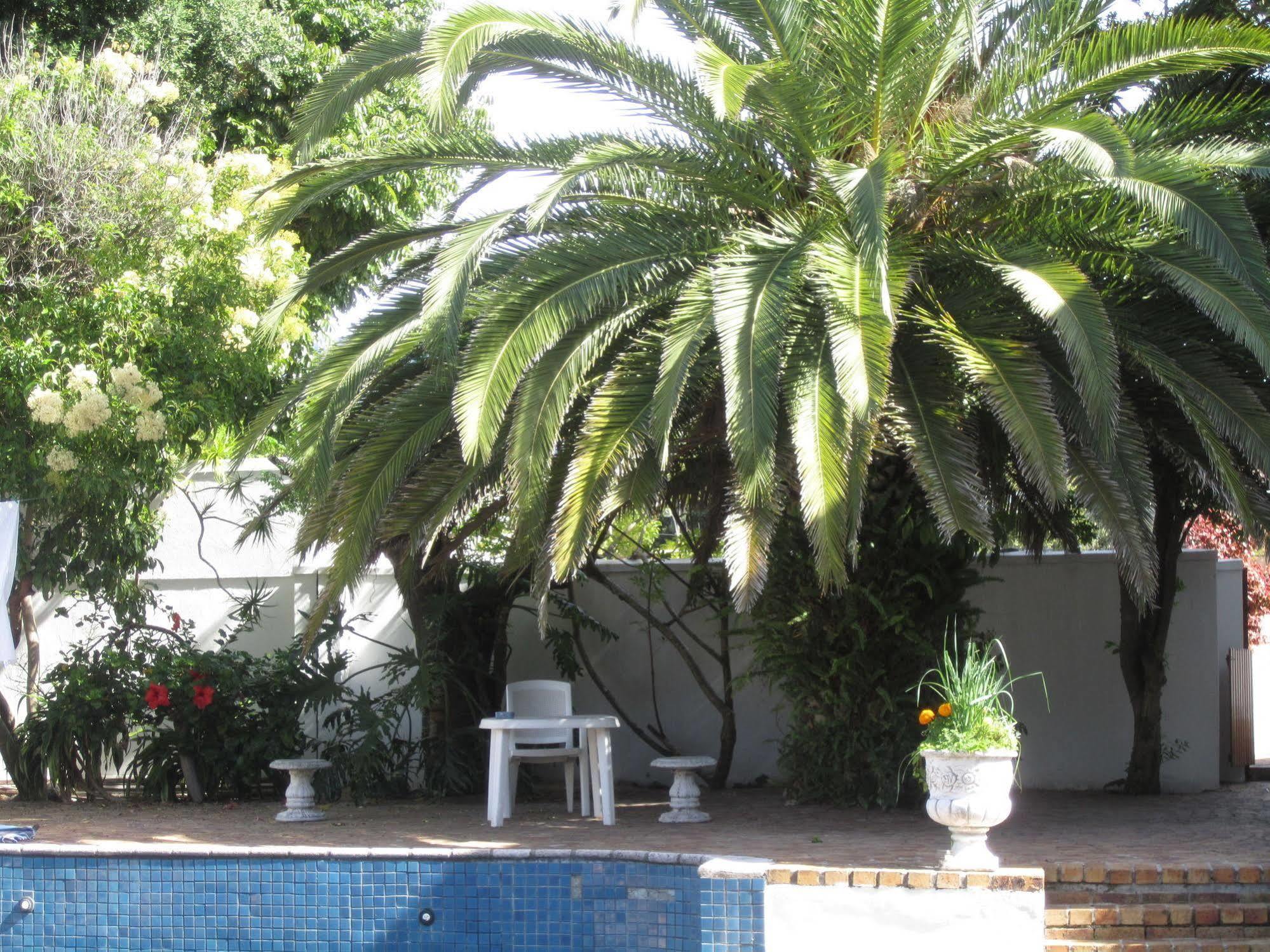 Applegarth B&B And Self-Catering Studios Kaapstad Buitenkant foto